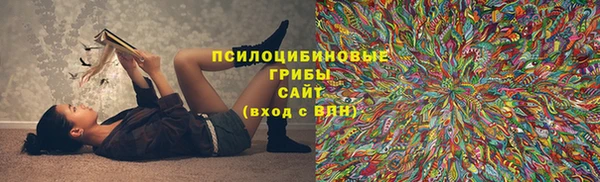 меф Алексин