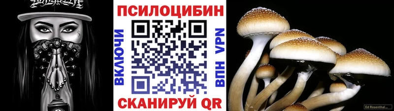 kraken вход Холм Псилоцибиновые грибы мицелий продажа наркотиков